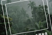 开云体育官网-球队赛前莫大期待，赛季备战迎接挑战春风得意的简单介绍